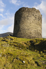 Naklejka premium Dolbadarn Castle
