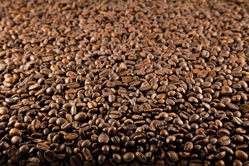 coffee bean