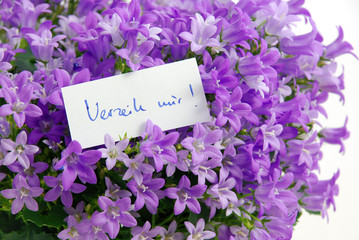 Verzeih mir! in lila Blumen