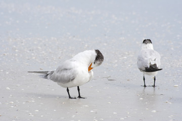 Relaxing on the shore