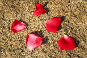 Red rose petals on stone