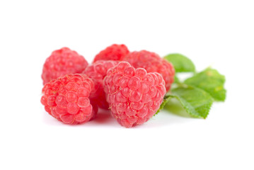 fresh raspberry