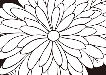 Cercles muraux Fleurs noir et blanc Motif graphique