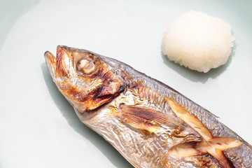 焼魚