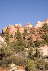 Fototapeta premium Zion National Park, Utah