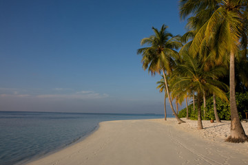 Maldive Paesaggio all'alba