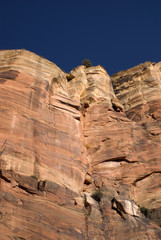 Fototapeta premium Zion National Park, Utah