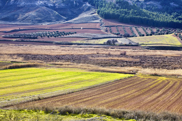 Campo en La Guardia