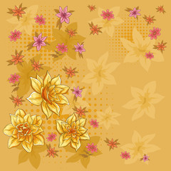 Background, flower narcissus