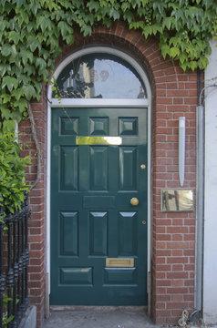 Wooden  entrance door with ivy
