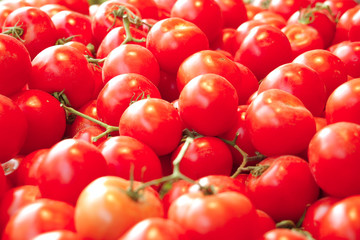 lot of tomatoes on counter