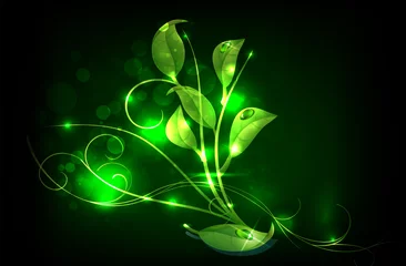 Zelfklevend Fotobehang Vector green leaves design against dark background © blina
