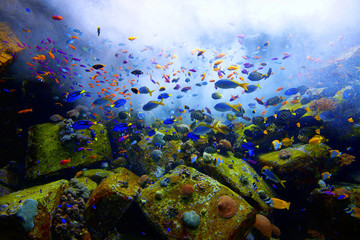 Aquarium