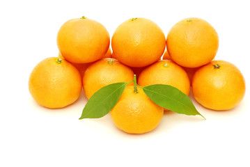 tangerine