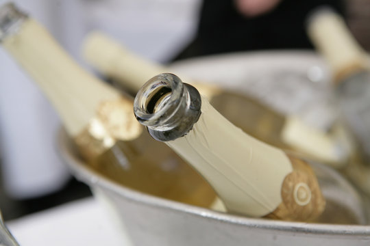 weink&uuml;hler