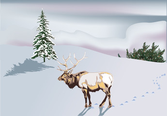 winter landscape with deer and tracks