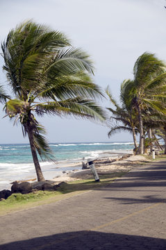 sallie peachie beach storm Corn Island Nicaragua