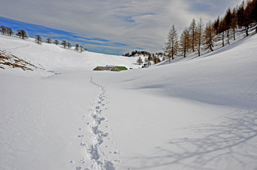 Vacherie de l'Authion en hiver