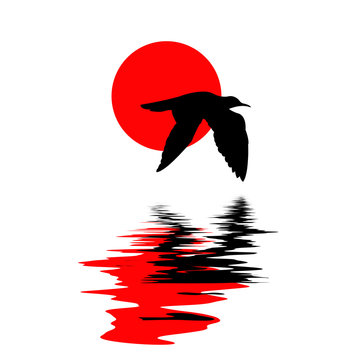recommend clip art: silhouette of the sea gull on water on white background
