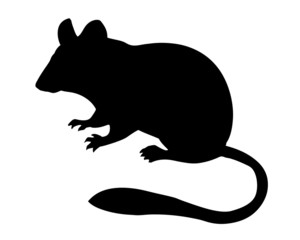 silhouette jerboa on white background