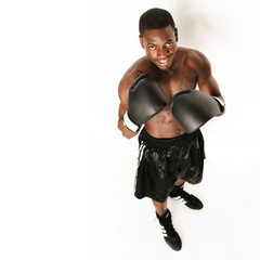 Boxer