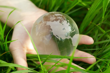 Globe in the hand