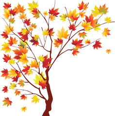 Autumn-maple