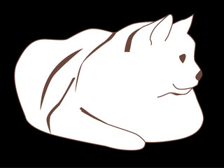 White cat