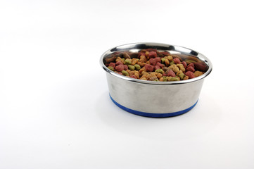 Dog Food In A Bowl