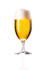 leckeres Pils