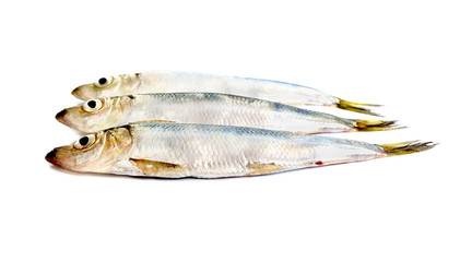 Three fishis.