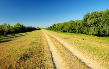 Fototapeta na wymiar Dirt road in countryside