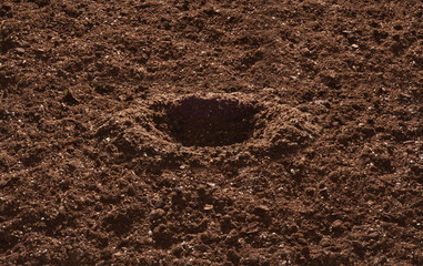 Dirt Hole © rimglow