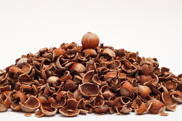 Pile of cracked hazelnut shells with a whole one on top