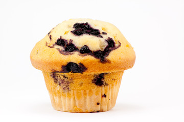 Blueberry muffin