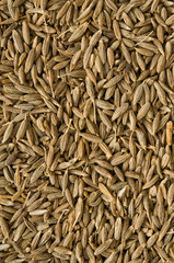 Kreuzkümmel-Hintergrund