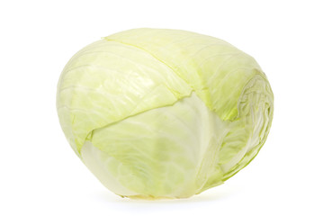 Fototapeta premium cabbage