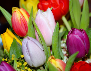 Endlich Frühling: bunter Tulpenstrauss