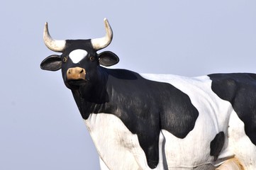 vache