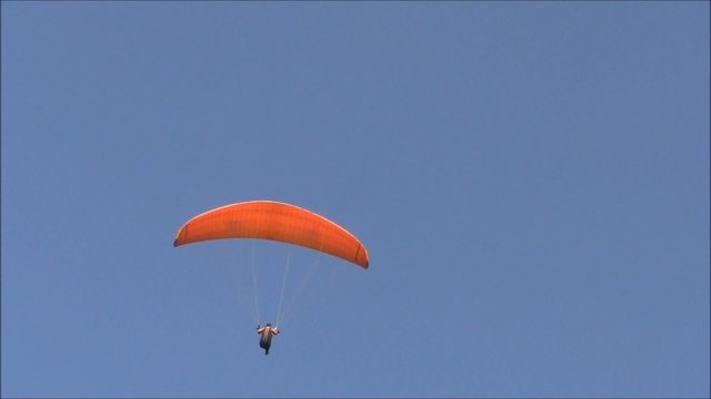 Paragleiter