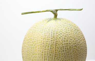 メロン