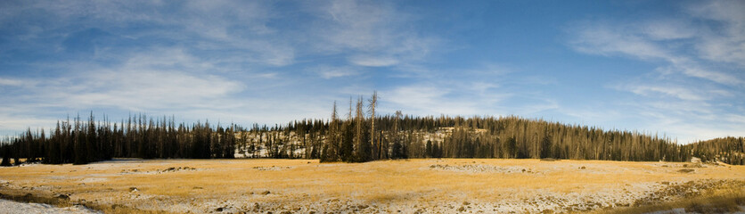 Grand Canyon, road to North Rim