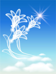 Fototapeta na wymiar Transparent flowers in the clouds