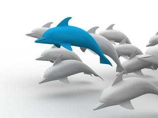 Lovely Dolphin