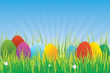 Wiese Ostereier viele blau