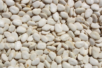 White beans