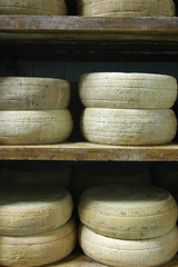 formaggio pecorino stagionato