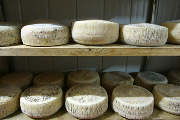 formaggio pecorino stagionato