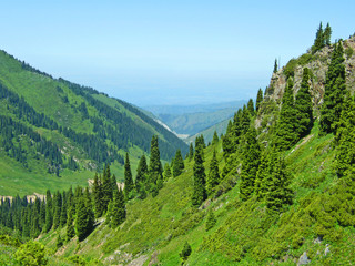 Mountain landscape