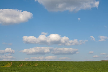 Field and sky